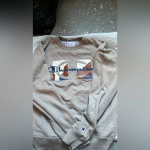 Brown Champion Sweater
